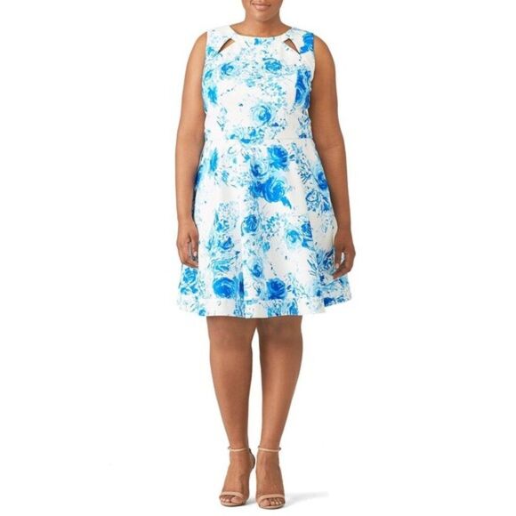 JAYGODFREY Brenda Floral Sleeveless Crewneck Cut Out Fit & Flare Dress 12 - Picture 1 of 9